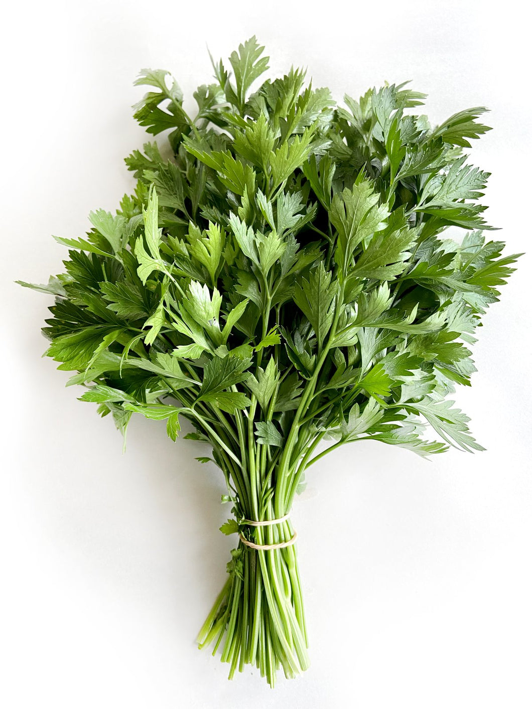 FRESH PARSLEY