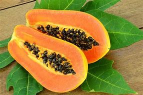 PAPAYA LARGE